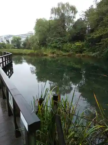 廣源院東福寺の周辺