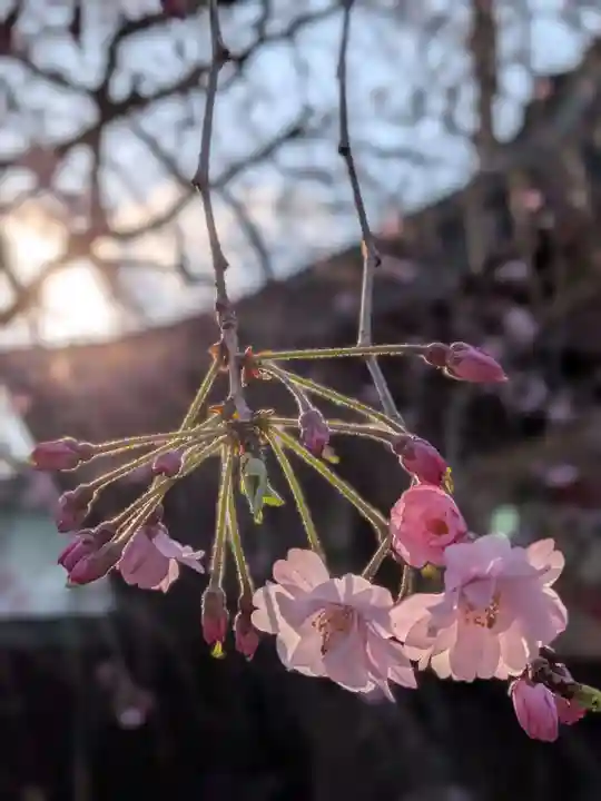 大宮八幡宮(東京都)