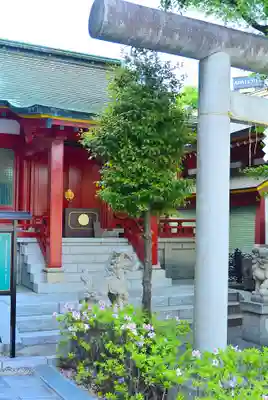 神田神社（神田明神）(東京都)