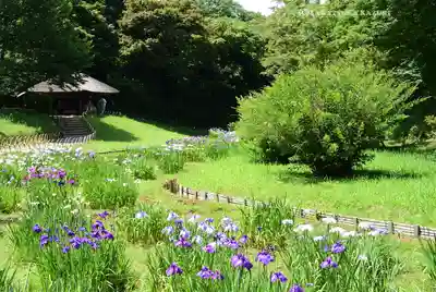 明治神宮(東京都)