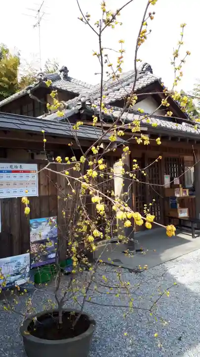 前玉神社(埼玉県)