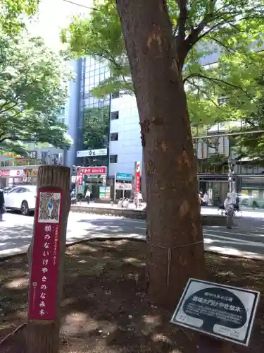 大國魂神社(東京都)