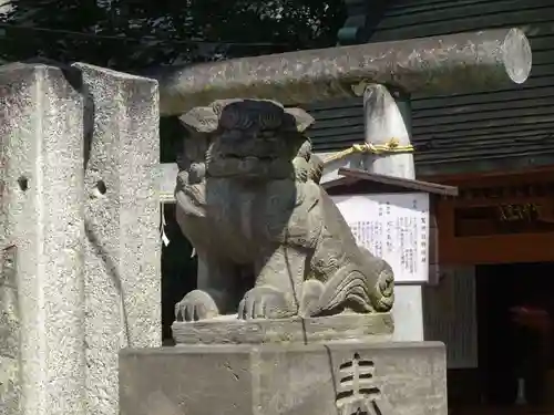 川越熊野神社の狛犬