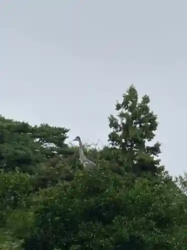 進雄神社(群馬県)