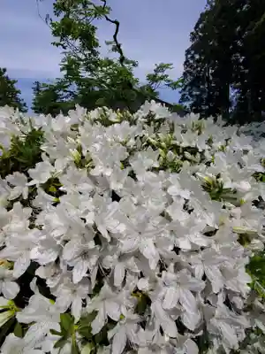 上合寺(福島県)