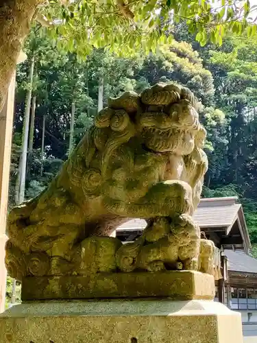 金刀比羅神社の狛犬