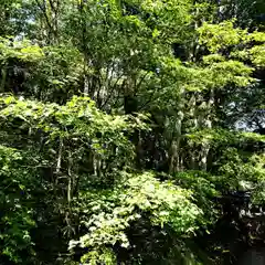 磐椅神社の景色