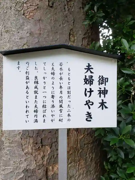 阿佐ヶ谷神明宮のその他建物