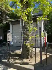 溝口神社(神奈川県)