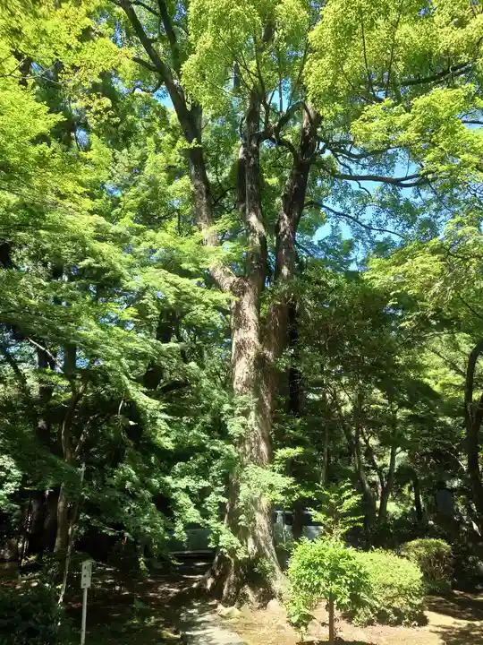 無量光寺(神奈川県)