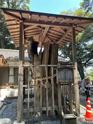 泉神社(茨城県)