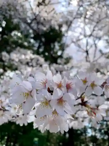 滑川神社 - 仕事と子どもの守り神(福島県)