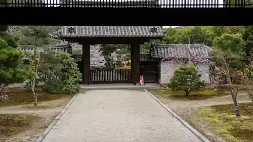 隨心院（随心院）(京都府)