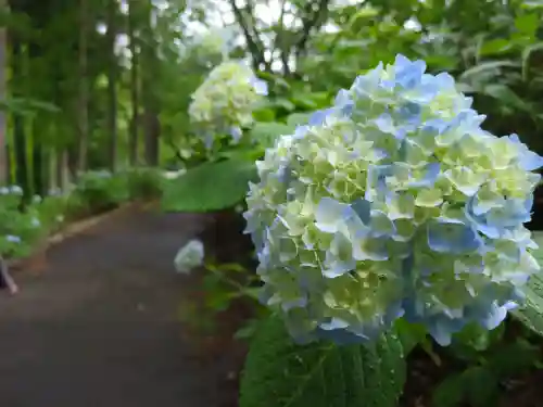 黒沼神社(福島県)