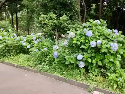 総持寺(神奈川県)