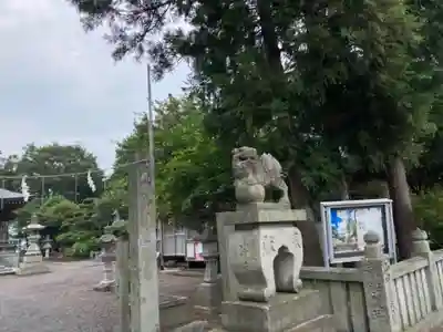 土居神社の狛犬