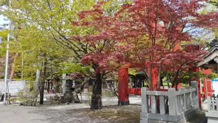 彌彦神社 (伊夜日子神社)の自然