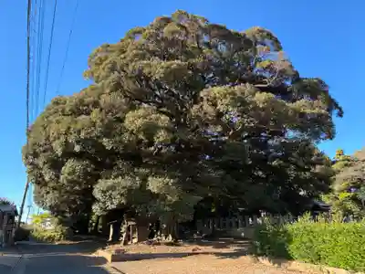 三社神社(千葉県)