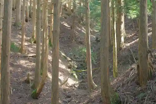 大峯山寺の自然