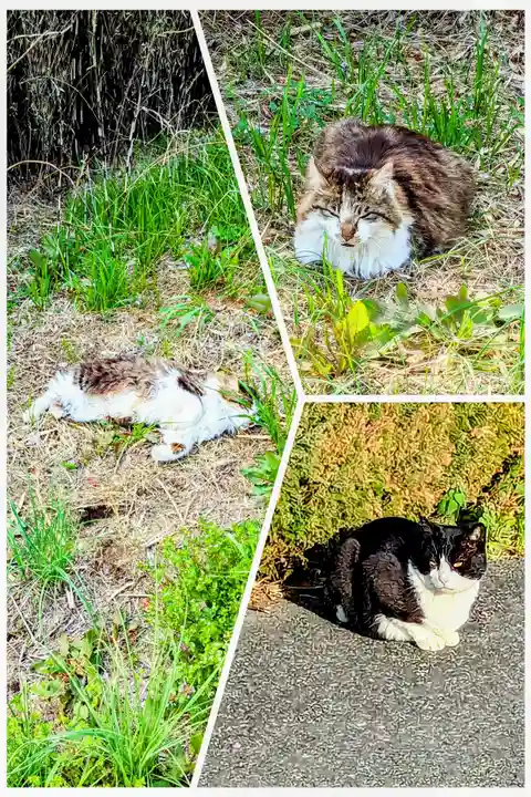 七百餘所神社 の動物