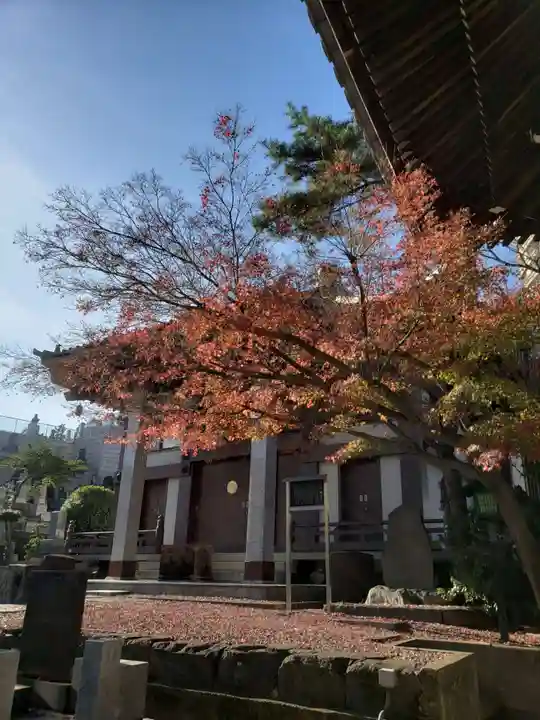 善福寺(東京都)