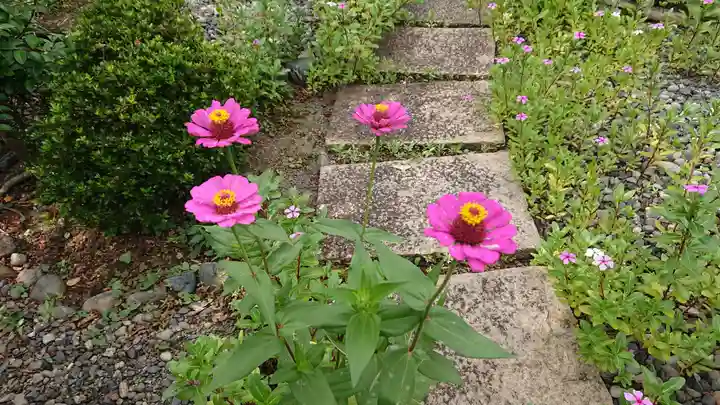 稲荷神社の自然