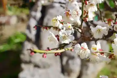 福王山  慈眼寺(東京都)