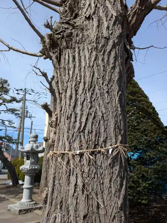 稲荷神社(鍛冶稲荷神社)(北海道)