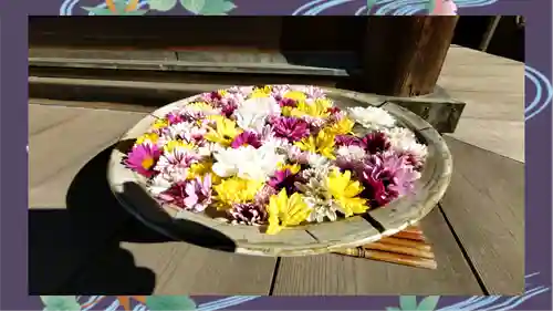 観音寺(東京都)