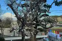 光明寺(静岡県)