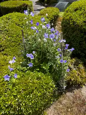 正福寺(滋賀県)