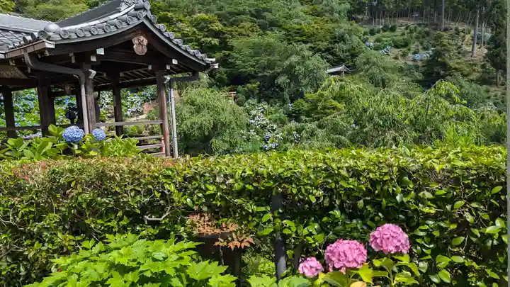 善峯寺(京都府)