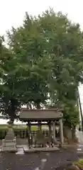 中川氷川神社の手水