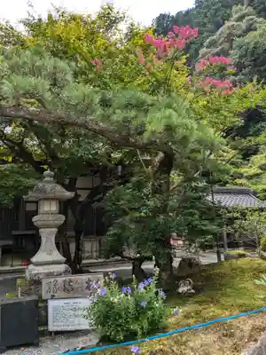 南禅寺(京都府)