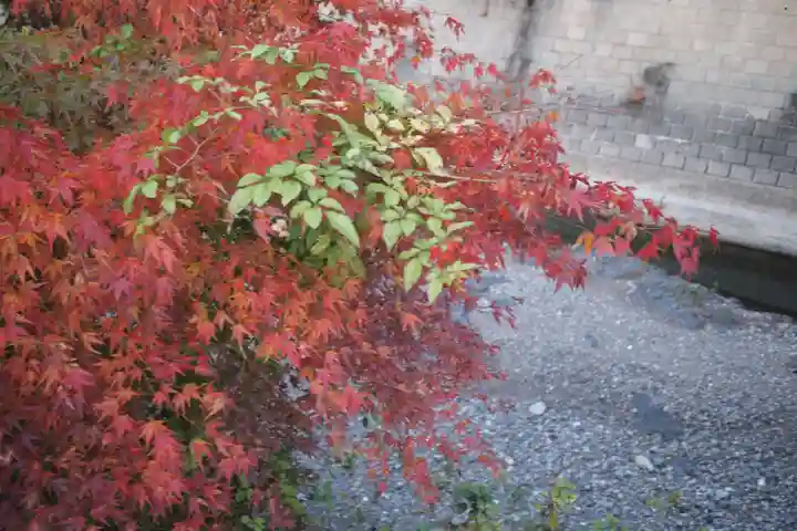 秩父御嶽神社の自然