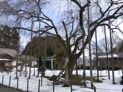 足羽神社(福井県)