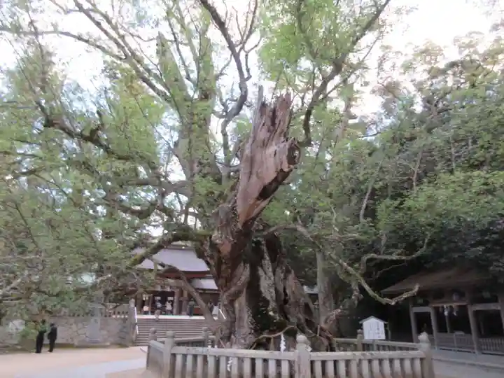 大山祇神社(愛媛県)