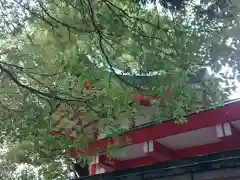 泥江縣神社の本殿