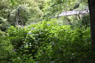 寶泉坊(滋賀県)