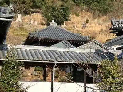 興聖寺（興聖寶林禅寺）(京都府)