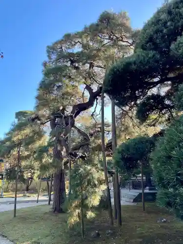 東漸寺(千葉県)