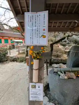 賀茂別雷神社（上賀茂神社）(京都府)
