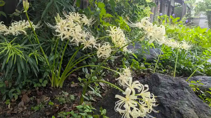 全興寺(大阪府)