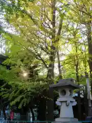 諏訪神社の建物その他