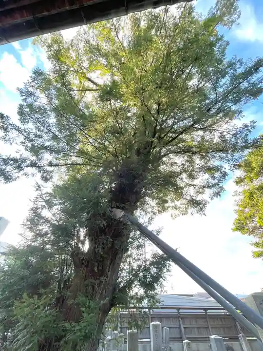 法因寺(三重県)