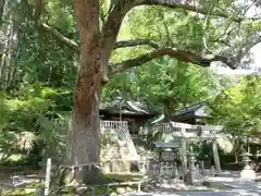 事任八幡宮の自然