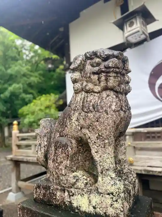 闘鶏神社の{uncategorized: "未分類", other: "その他", undefined: "問題あり", building: "その他建物", grave: "お墓", sacred_gate: "鳥居", guardian: "狛犬", statue: "像", buddha: "仏像", history: "歴史", nature: "自然", garden: "庭園", animal: "動物", pagoda: "塔", temizu: "手水舎", mountain_gate: "山門・神門", sanctuary: "本殿・本堂", subordinate: "末社・摂社", art: "芸術", scenery: "景色", jizo: "地蔵", ema: "絵馬", goshuin: "御朱印", omikuji: "おみくじ", items: "授与品その他", amulet: "お守り", goshuincho: "御朱印帳", eats: "食事", festival: "お祭り", votive_dance: "神楽", shichigosan: "七五三参", wedding: "結婚式", experience: "体験その他", initially: "初詣", around: "周辺", anti_infection: "感染症対策"}