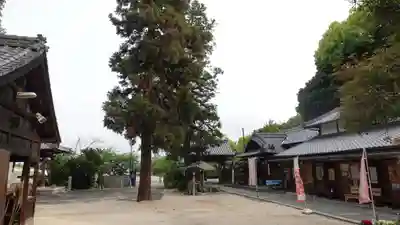 延命寺(愛媛県)