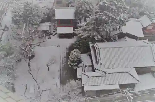 くまくま神社(導きの社 熊野町熊野神社)の景色