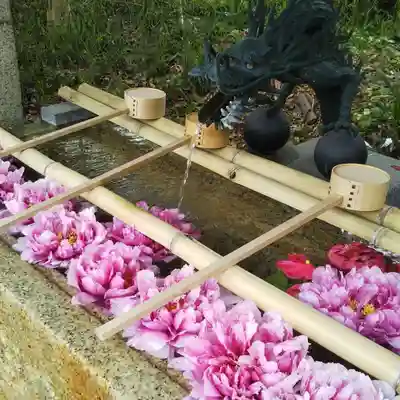 星宮神社の手水舎
